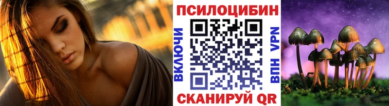 Псилоцибиновые грибы Cubensis Тула