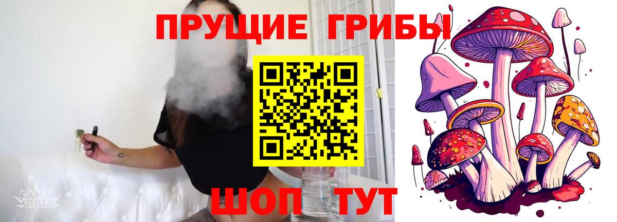 Псилоцибиновые грибы Magic Shrooms  Вход с VPN  Галлюциногенные грибы GOLDEN TEACHER  Тула 
